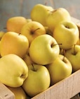 Intermarché Neuville-sur-Ain - Promo Pomme Promo Pomme à 1,49 € dans le catalogue Intermarché à Neuville-sur-Ain