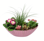 Aktuelles Frühlingsarrangement Angebot bei toom Baumarkt in Jena ab 15,99 €