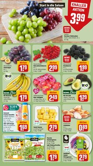 Äpfel im aktuellen REWE Prospekt (Hannover) Äpfel im REWE Prospekt "Dein Markt" mit 14 Seiten (Hannover)