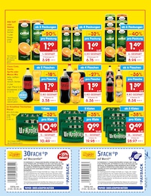 Cola im Netto Marken-Discount Prospekt "Aktuelle Angebote" mit 73 Seiten (Halle (Saale))