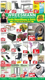 Sonderposten Prospekt von Wreesmann in Ostritz Aktueller Wreesmann Sonderposten Prospekt für Ostritz: DEIN SAISON- & SONDERPOSTENMARKT! mit 12} Seiten, 31.08.2026 - 05.09.2026