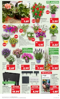 Blumenerde im aktuellen Kaufland Prospekt (Krefeld) Blumenerde im Kaufland Prospekt "KNÜLLER" mit 50 Seiten (Krefeld)