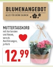 Aktuelles Muttertagskorb Angebot bei Marktkauf in Dortmund ab 12,99 €