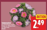 Sommerastern bei EDEKA im Blankenfelde Prospekt für 2,49 €
