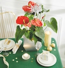 Anthurium à 14,99 € dans le catalogue Intermarché Hyper