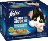Katzenfutter Angebote von Felix bei Globus-Baumarkt Karlsruhe für 3,99 €