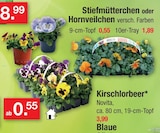 Stiefmütterchen oder Hornveilchen Angebote bei Zimmermann Magdeburg für 0,55 €