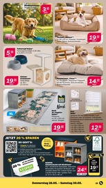 Aktueller Netto mit dem Scottie Prospekt mit Rollo, "Günstig. Besser. Für Dich.", Seite 27