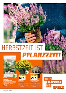 OBI Prospekt HERBSTZEIT IST PFLANZZEIT mit 20 Seiten