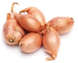 Aktuelles Bio Schalotten Angebot bei REWE in Erftstadt ab 1,19 €