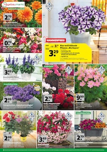 Aktueller Hagebaumarkt Prospekt