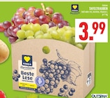 Aktuelles Tafeltrauben Angebot bei Marktkauf in Essen ab 3,99 €