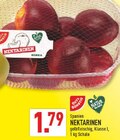 Marktkauf Blomberg - Nektarinen Angebot im Prospekt Nektarinen bei Marktkauf im Blomberg Prospekt für 1,79 €
