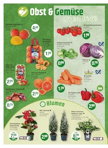 Blumen Angebot im V-Markt Prospekt, gültig von 18.12.2025 bis 24.12.2025 Blumen Angebot im aktuellen V-Markt Prospekt auf Seite 4