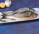 Bar d'aquaculture en promo chez Super U Les Mureaux à 3,95 €