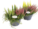 Herbstdekoschale „Skylife“ bei Raiffeisenmarkt im Prospekt "" für 11,99 €