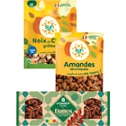 SUR TOUT - SUN ET LA FAVORITE - Carrefour SUR TOUT - SUN ET LA FAVORITE dans le catalogue Carrefour