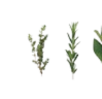 Zarte Heringsfilets in Tomaten-Creme von Appel im aktuellen Kaufland Prospekt für 0,99 €