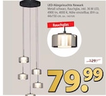 Zurbrüggen Herne - LED-Hängeleuchte Newark Angebot im Prospekt LED-Hängeleuchte Newark bei Zurbrüggen im Herne Prospekt für 79,99 €