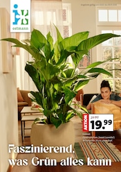 Aktueller Blumen Ostmann Prospekt mit Pflanzen, "Faszinierend, was Grün alles kann", Seite 1