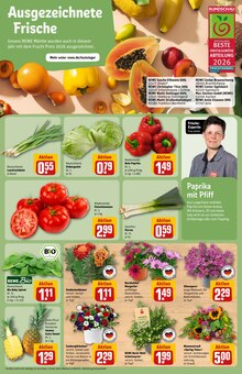 Tomaten im REWE Prospekt "Dein Markt" mit 38 Seiten (Freiburg (Breisgau))