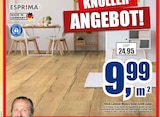 Klick-Laminat Melara Eiche rustik natur Angebote von ESPRIMA bei Scheidt Soest für 9,99 €