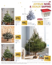 Sapin Nordmann Angebote im Prospekt "JOYEUX NOËL & MEILLEURS PRIX" von Carrefour auf Seite 73