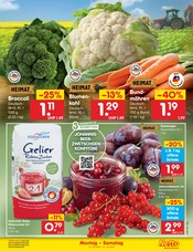 Blumenkohl im Netto Marken-Discount Prospekt in Gera Aktueller Netto Marken-Discount Prospekt mit Blumenkohl, "Aktuelle Angebote", Seite 24