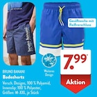 Badeshorts von BRUNO BANANI im aktuellen ALDI SÜD Prospekt