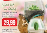 Dekoglas auf Holz Angebote bei Kaufhaus Stolz Neumünster für 29,99 €