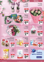 Aktueller EDEKA Prospekt mit Pflanzen, "Wir lieben Lebensmittel!", Seite 9