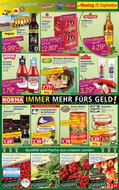 Spirituosen im Norma Prospekt in Dessau-Roßlau Aktueller Norma Prospekt mit Spirituosen, "Mehr fürs Geld", Seite 11