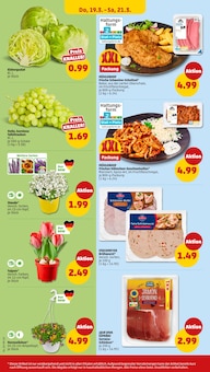 Tulpen im Penny Prospekt "Wer günstig will, muss Penny." mit 49 Seiten (Moers)