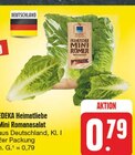 Aktuelle Salat Angebote bei EDEKA in Nürnberg Aktuelles Mini Romansalat Angebot bei EDEKA in Nürnberg ab 0,79 €