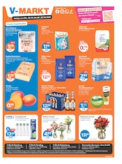 Aktueller V-Markt Supermarkt Prospekt in Donaustauf und Umgebung, "V-Markt einfach besser einkaufen" mit 3 Seiten, 26.10.2026 - 28.10.2026