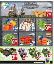 Pflanzen im EDEKA Prospekt "Aktuelle Angebote" mit 28 Seiten (München)