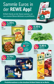 Pampers im aktuellen REWE Prospekt (Braunschweig) Pampers im REWE Prospekt "Dein Markt" mit 36 Seiten (Braunschweig)