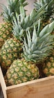 Promo Ananas à 1,59 € dans le catalogue Intermarché Super à Jonzac