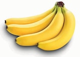 Bananen Angebote bei nah&frisch Münster für 1,11 €
