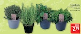 Thymian Angebote bei Marktkauf Leipzig für 2,49 €