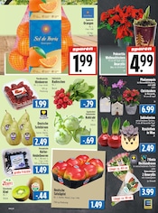 Aktueller EDEKA Prospekt mit Äpfel, "Aktuelle Angebote", Seite 5