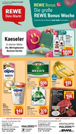 Ähnliche Angebote wie Pfifferlinge im Prospekt "Dein Markt" auf Seite 1 von REWE in Castrop-Rauxel