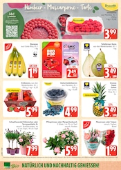 Aktueller Marktkauf Prospekt mit Blumen, "Top Angebote", Seite 6