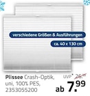 Plissee Crash-Optik im Angebot bei ROLLER in Ingolstadt Plissee Crash-Optik Angebote bei ROLLER Ingolstadt für 7,99 €