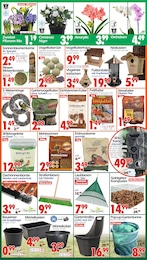 Wreesmann Wild im Prospekt 