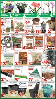 Eis im Wreesmann Prospekt "DEIN SAISON- & SONDERPOSTENMARKT!" mit 8 Seiten (Cottbus)