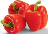 Paprika rot bei Netto Marken-Discount im Kleinwallstadt Prospekt für 2,99 €