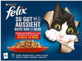 So gut wie es aussieht Katzennassnahrung Angebote von Felix bei Netto mit dem Scottie Rostock für 3,99 €