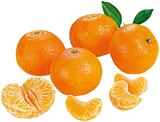 Mandarinen im Angebot bei REWE in Darmstadt Mandarinen Angebote bei REWE Darmstadt