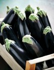 Aubergine en promo chez Intermarché Hyper Aubergine dans le catalogue Intermarché Hyper